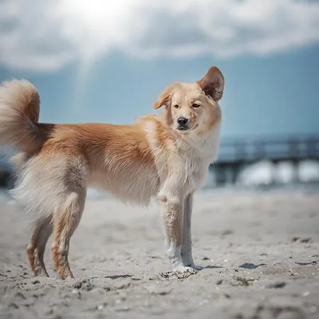 Sommerlust * Fuhlendorf (Mecklenburg-Vorpommern)