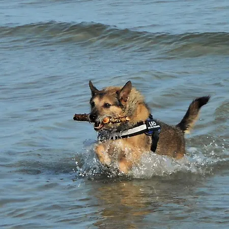 Sommerlust Casa vacanze