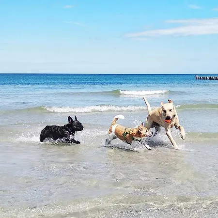 Sommerlust Casa vacanze *